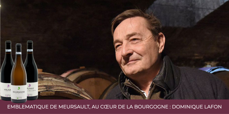 Emblématique de Meursault, au cœur de la Bourgogne : Dominique Lafon
